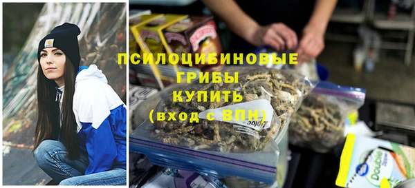 прущая мука Бородино